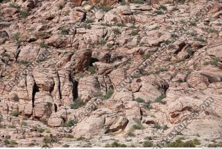 free photo texture of rock grassy